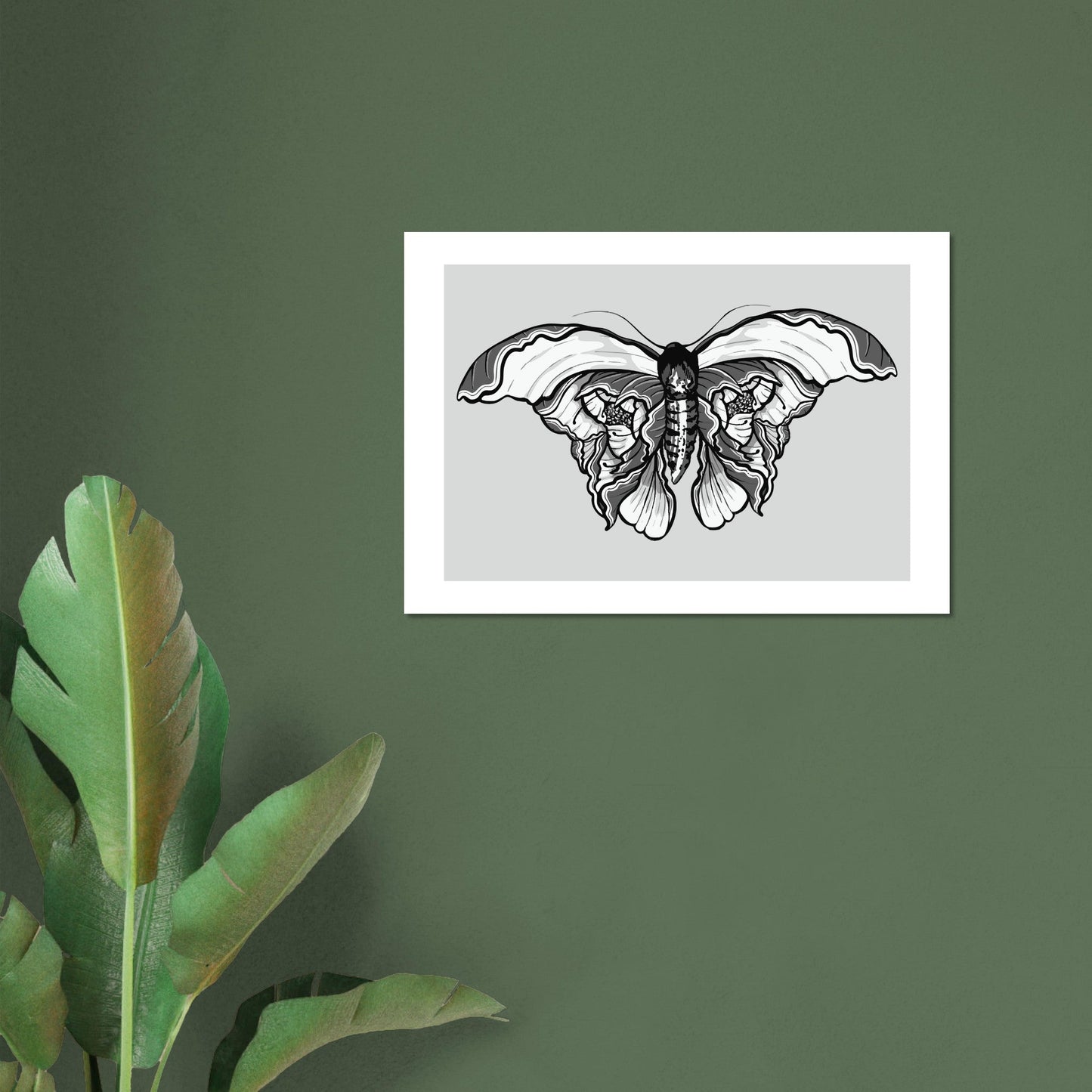 Moth 'Last Wish' - Premium Matte Paper Poster