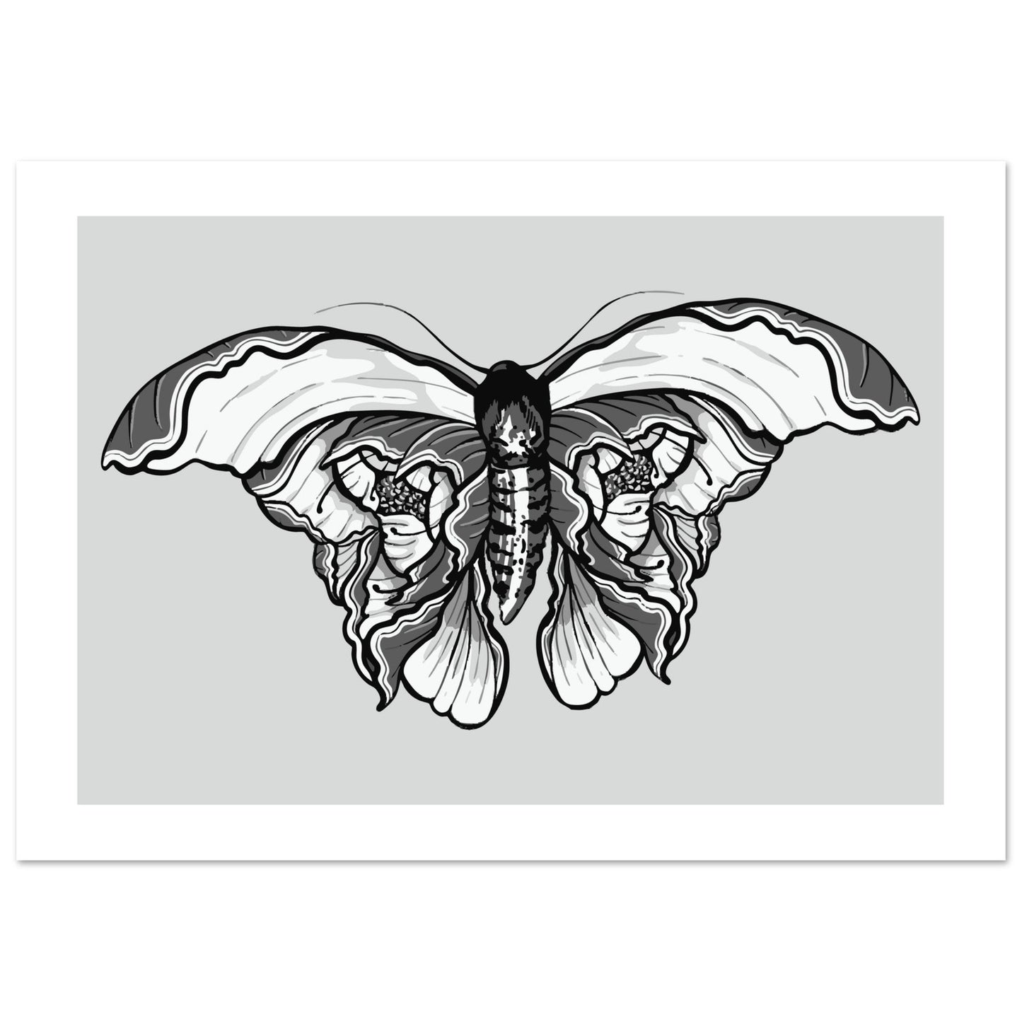 Moth 'Last Wish' - Premium Matte Paper Poster