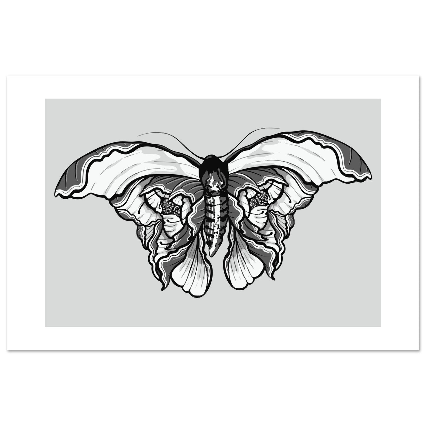 Moth 'Last Wish' - Premium Matte Paper Poster