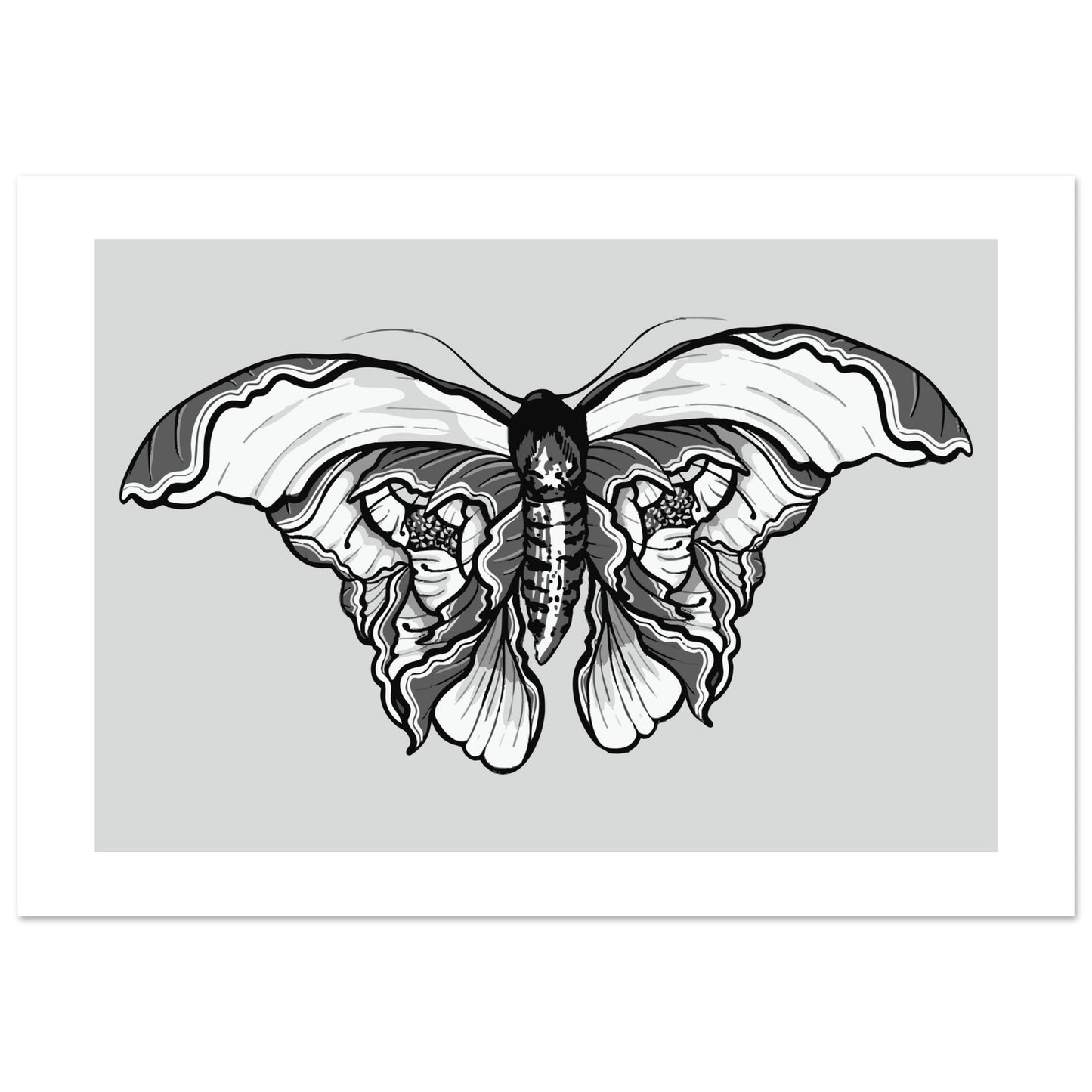 Moth 'Last Wish' - Premium Matte Paper Poster