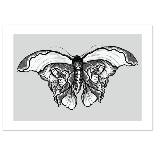 Moth 'Last Wish' - Premium Matte Paper Poster