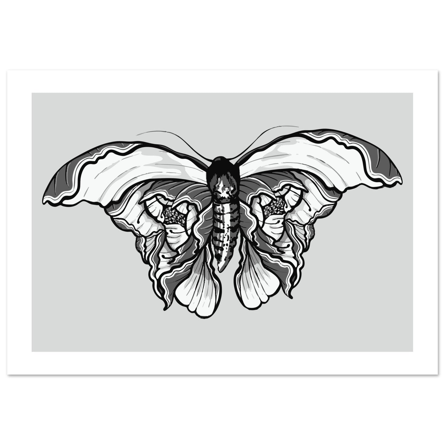 Moth 'Last Wish' - Premium Matte Paper Poster