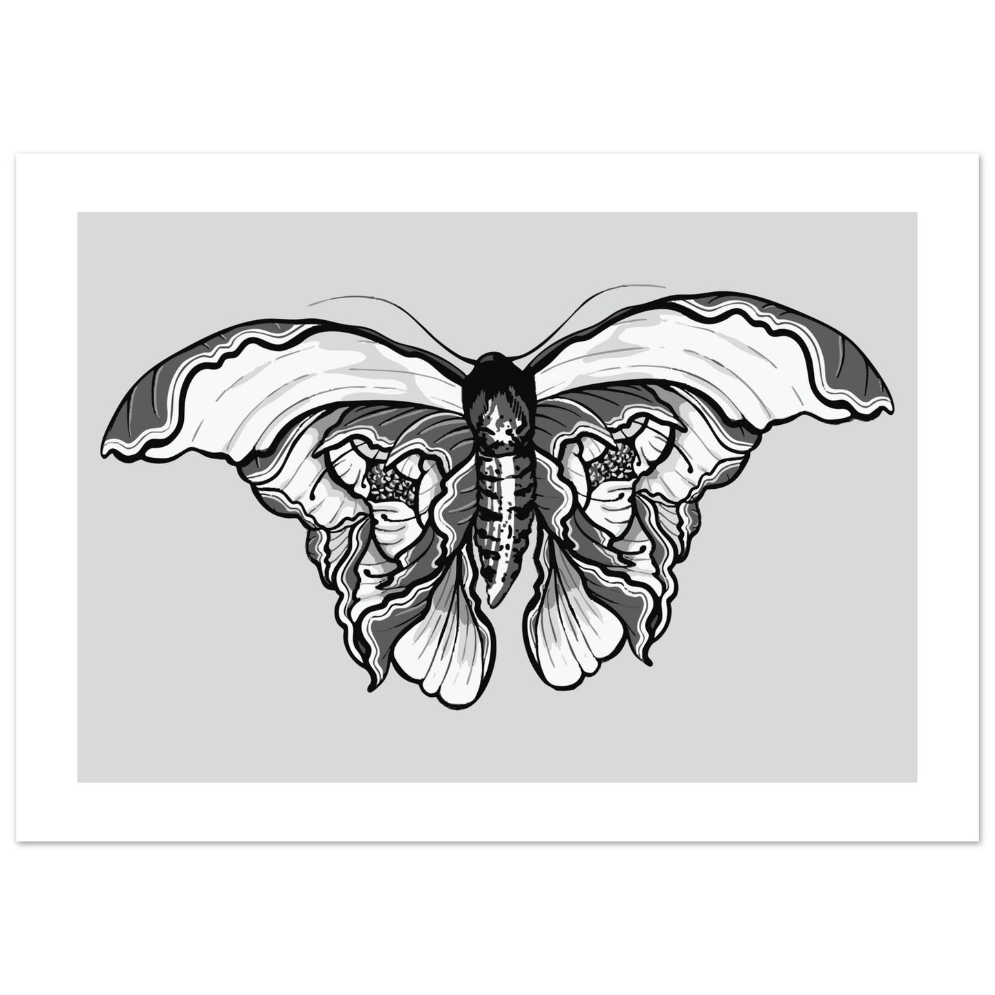 Moth 'Last Wish' - Premium Matte Paper Poster