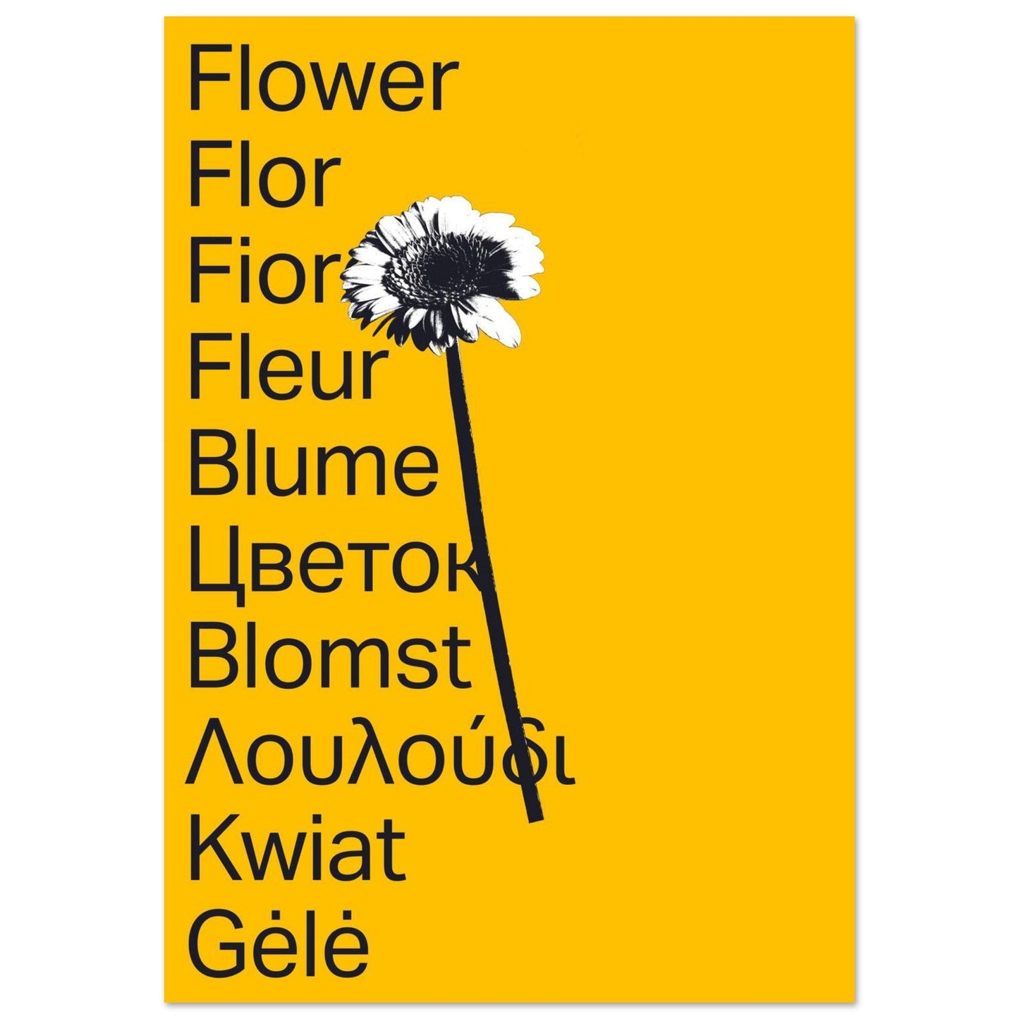 Ed Dickinson 'Flower' II - Premium Matte Paper Poster