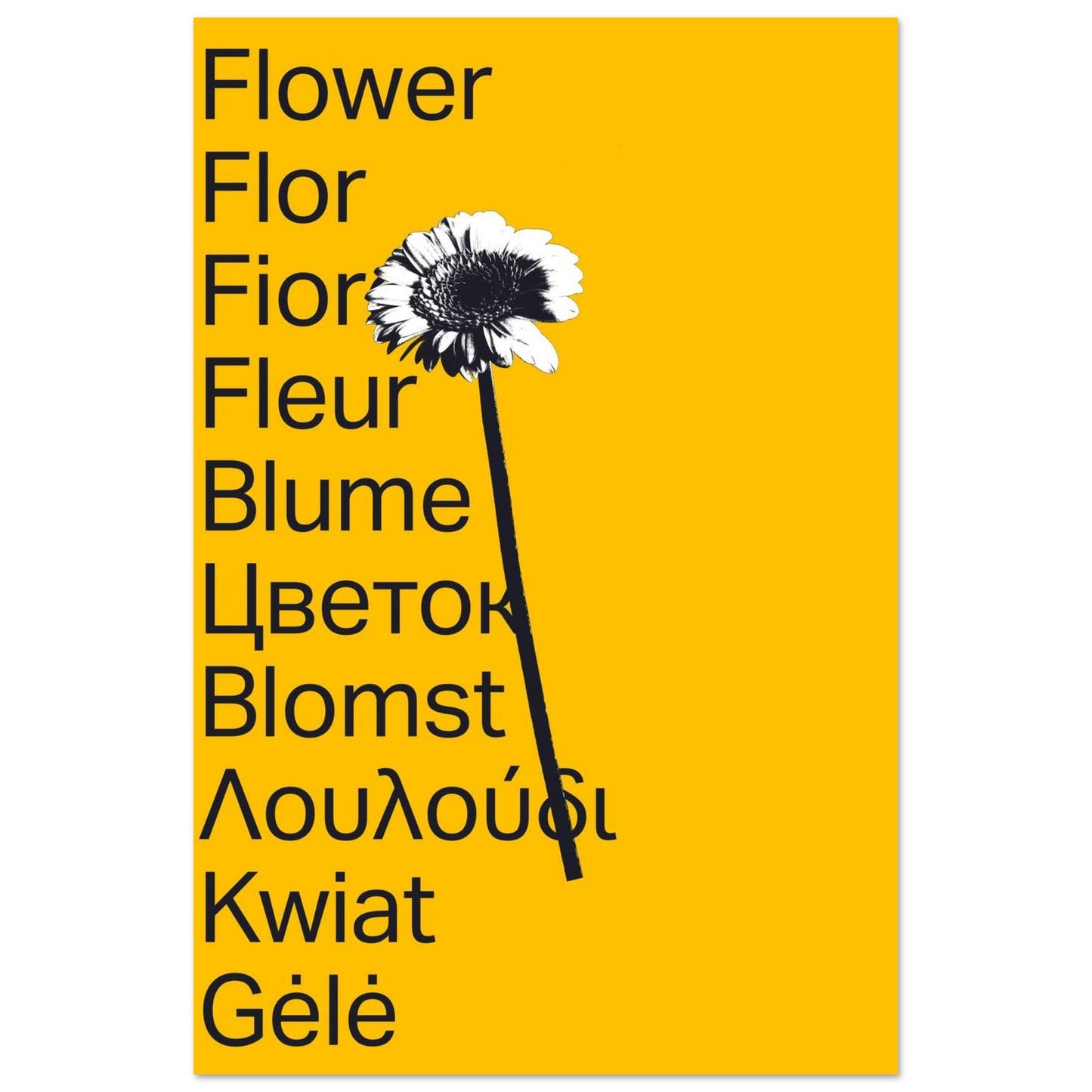 Ed Dickinson 'Flower' II - Premium Matte Paper Poster