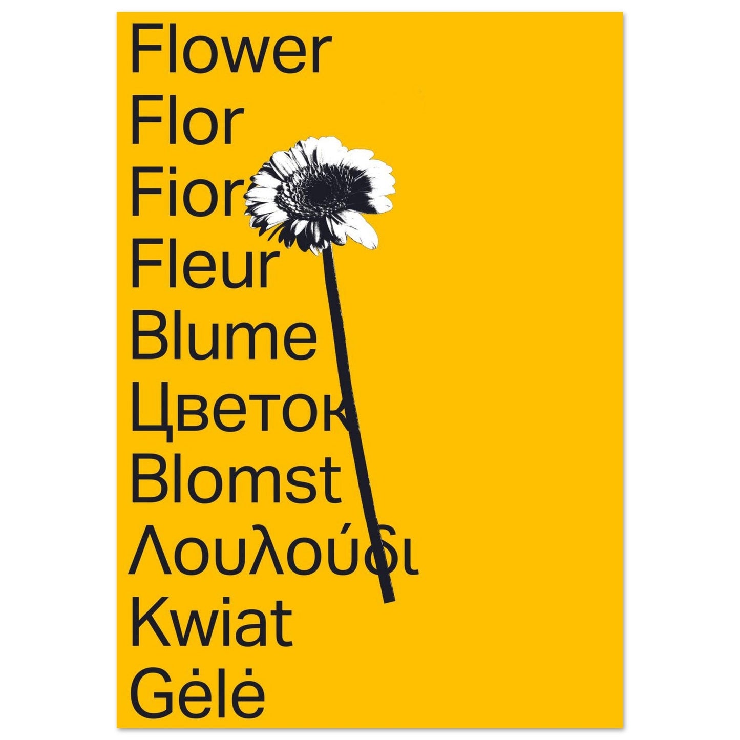 Ed Dickinson 'Flower' II - Premium Matte Paper Poster