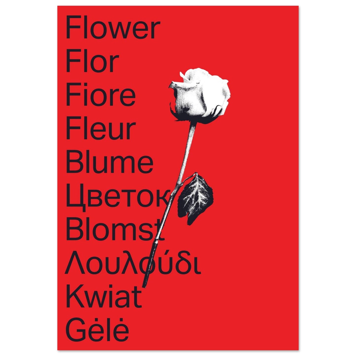 Ed Dickinson 'Flower' - Premium Matte Paper Poster