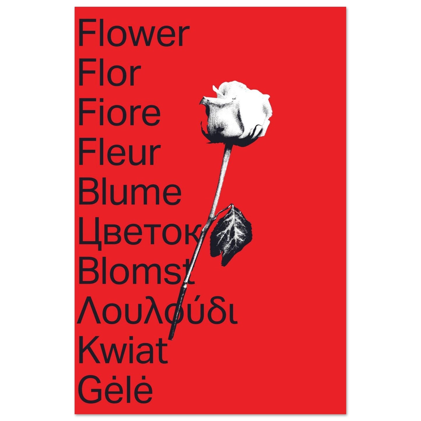 Ed Dickinson 'Flower' - Premium Matte Paper Poster