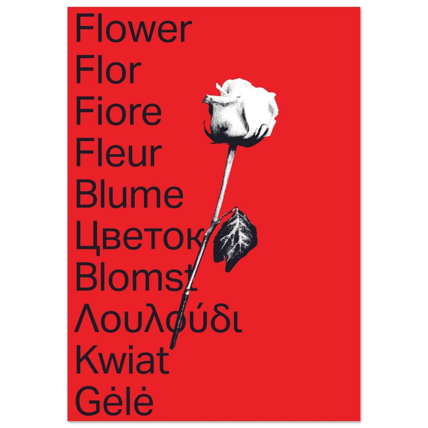 Ed Dickinson 'Flower' - Premium Matte Paper Poster