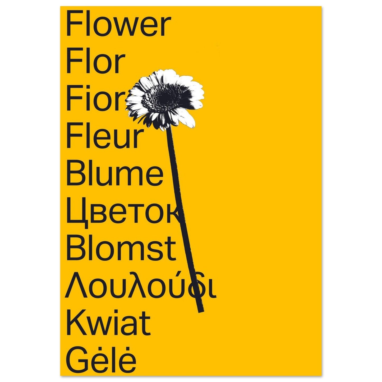 Ed Dickinson 'Flower' II - Premium Matte Paper Poster