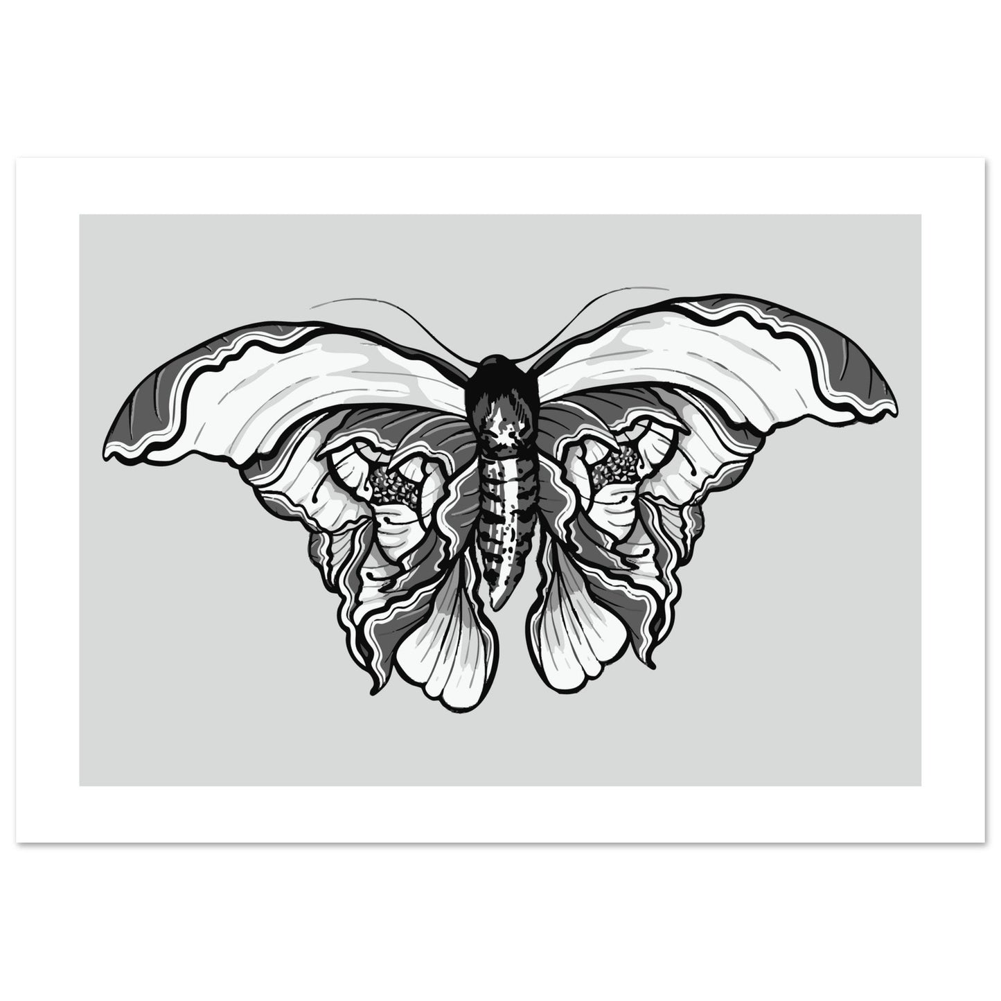 Moth 'Last Wish' - Premium Matte Paper Poster
