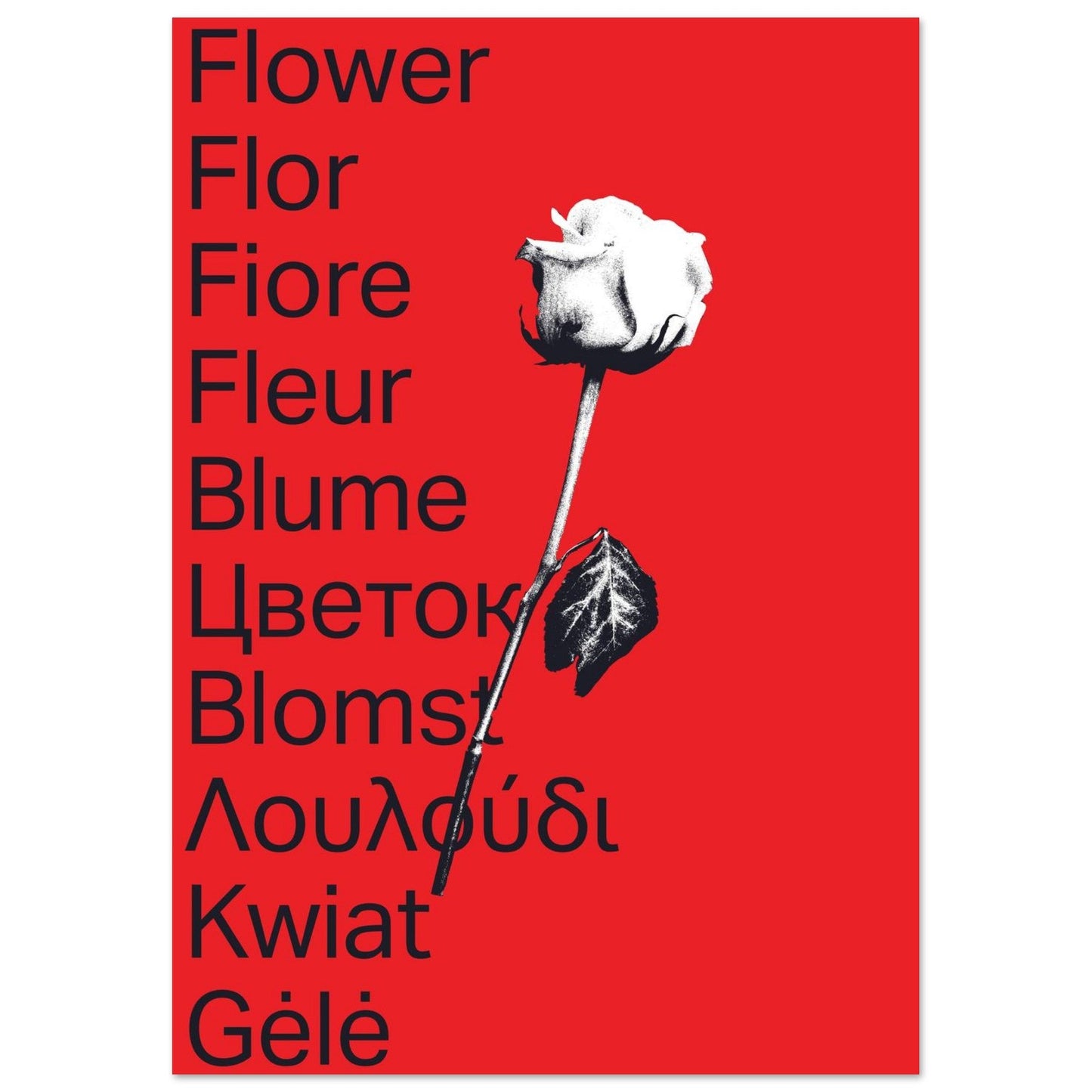 Ed Dickinson 'Flower' - Premium Matte Paper Poster