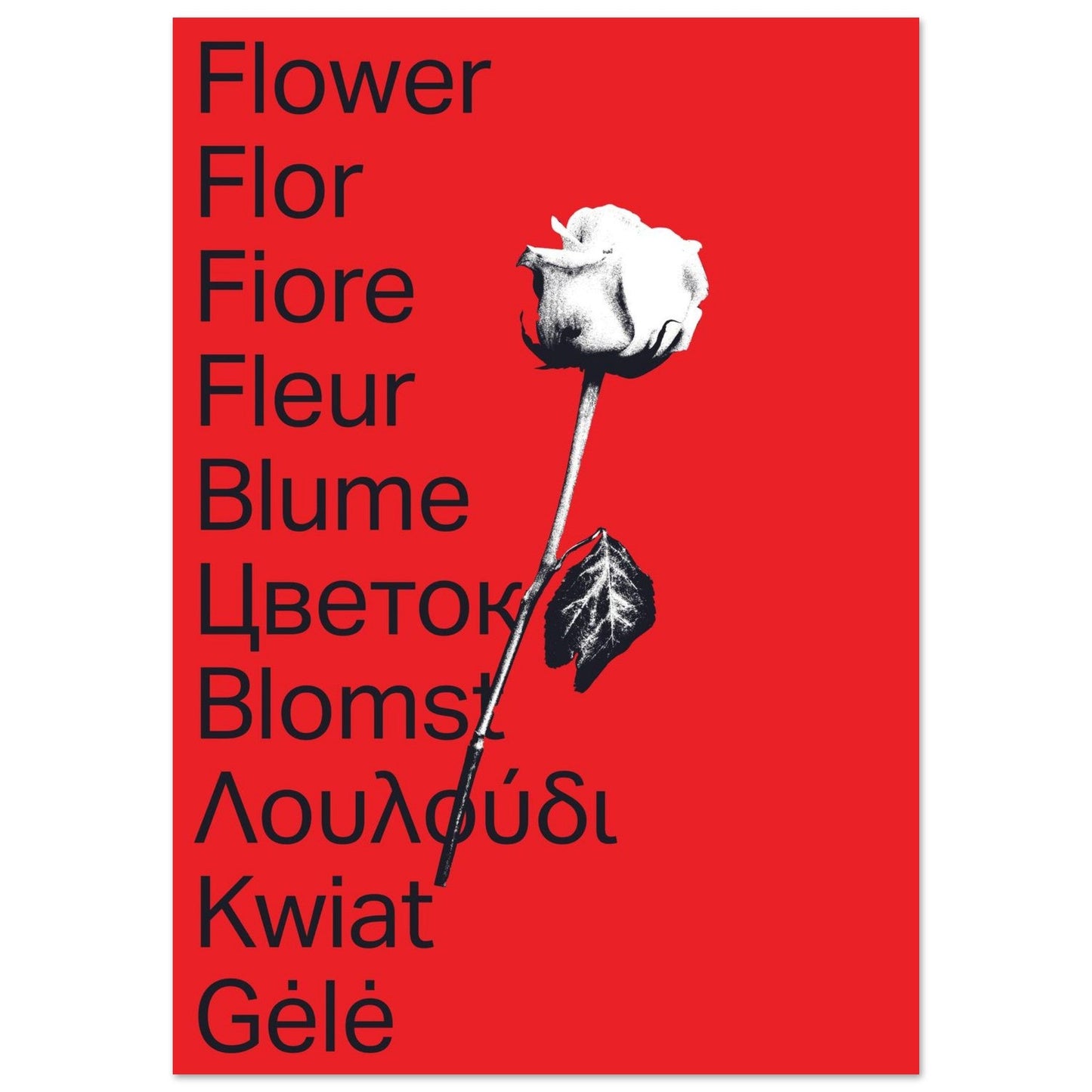 Ed Dickinson 'Flower' - Premium Matte Paper Poster
