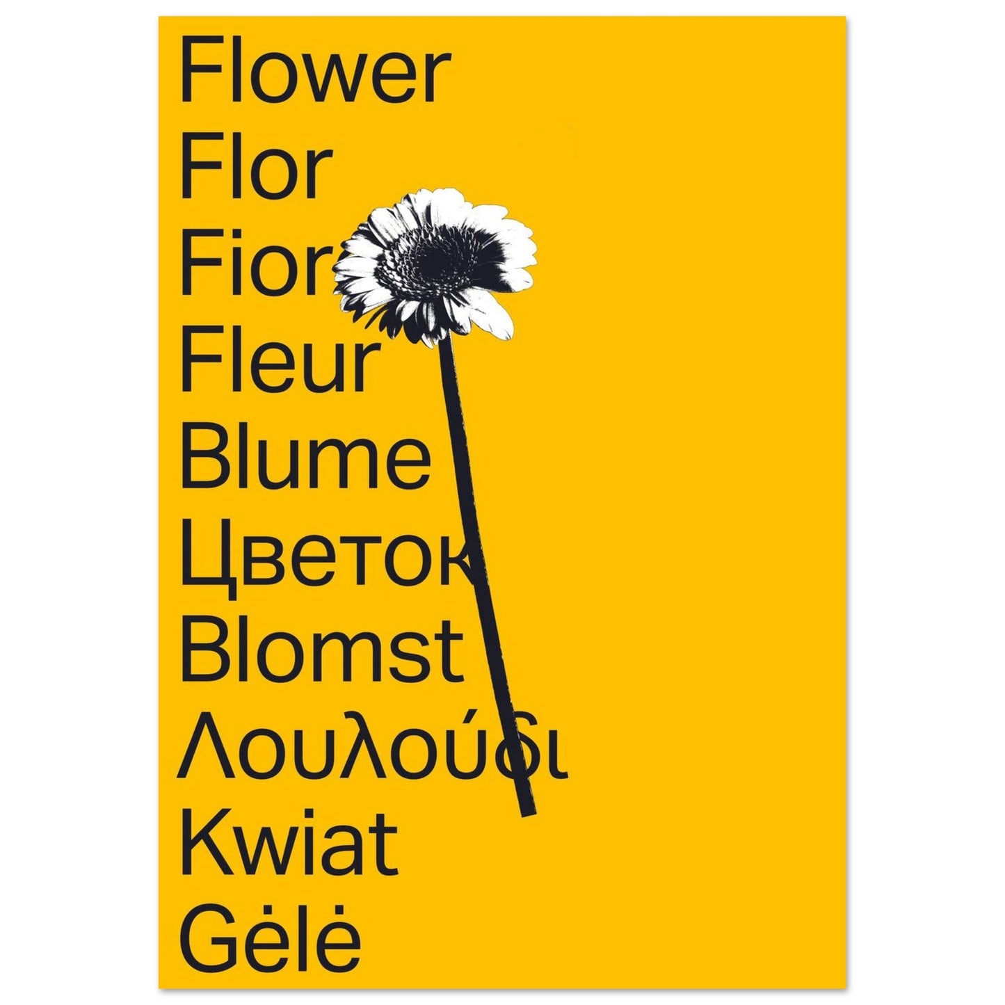 Ed Dickinson 'Flower' II - Premium Matte Paper Poster