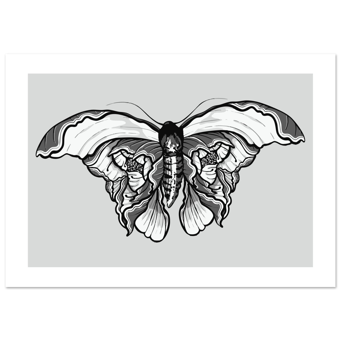 Moth 'Last Wish' - Premium Matte Paper Poster